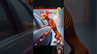 D cat ki story of cat animation sad cartoon edit kitten catstory [upl. by Bondy]