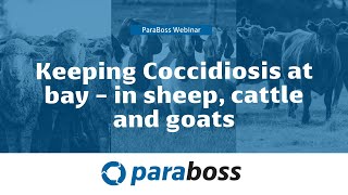 Keeping Coccidiosis at bay  in sheep cattle and goats [upl. by Gnilrets]