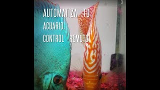 13 Automatizado de Acuario control remoto controlador arduino monitor lcd wifi [upl. by Ahsienaj]