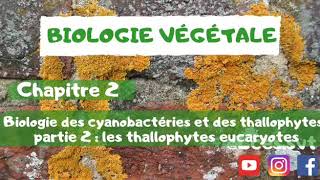 Biologie végétale chapitre 2  Biologie des cyanobactéries et des thallophytes   les thallophytes [upl. by Sebastiano383]