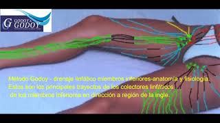 Método Godoy  drenaje linfático miembros inferioresanatomía y fisiología [upl. by Chung275]