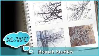 4 Tree Branch Studies in Watercolor Ft Renesans [upl. by Elane]