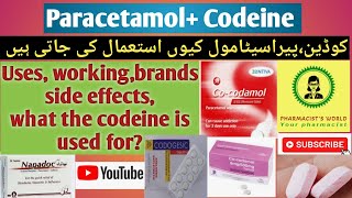 Everything You Need To Know About Codeine Paracetamol  But Wait Theres More [upl. by Dusza520]