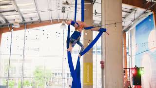 Rowan Aerial Silks Performance SALT [upl. by Girard]