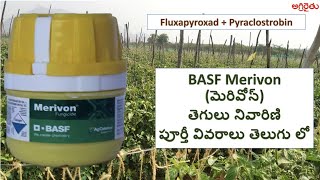 BASF Merivon మెరివోన్ తెగులు నివారిణి వివరాలు తెలుగు detail in Telugu [upl. by Artinahs]