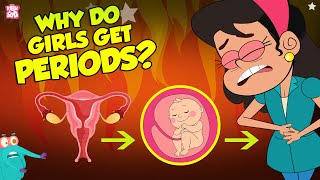 Why Do Girls Get Periods  Menstruation  The Dr Binocs Show  Peekaboo Kidz [upl. by Refenej325]