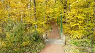 IU Bloomington Fall Colors [upl. by Dammahum247]