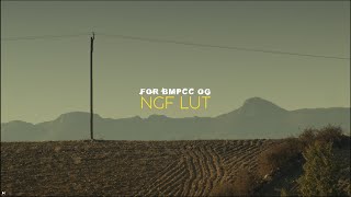 Creating a cinematic atmosphere with NGF LUT NEOGRAYFILMS  Bmpcc og [upl. by Nnaitsirhc]