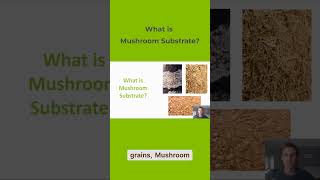 What is Mushroom substrate Grocycle [upl. by Anrak]