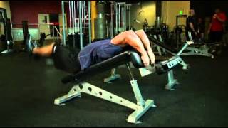 Decline Reverse Crunch Exercise Guide and Video [upl. by Yllet]