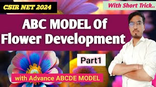 ABC MODEL OF FLOWER DEVELOPMENT CSIR NET 2024 Developmental biology CSIR NET PARTC NTA CSIR NET [upl. by Adnarahs]