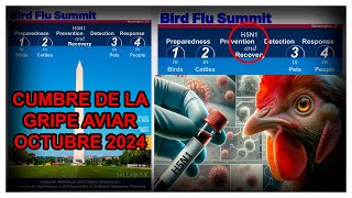 LA CUMBRE DE LA GRIPE AVIAR EN OCTUBRE DE 2024 SERÁ EL PRÓXIMO EVENT0 201 [upl. by Hank954]