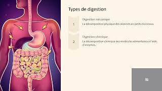 EB9chap 1appareil digestif Act 1 test des aliments [upl. by Dinsdale]