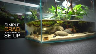 Setup Crab Tank Aquaterrauium l Paludarium l stepbystep l STARTING GUIDE FOR BEGINNERS [upl. by Albarran]