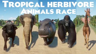 Tropical Herbivores Speed Races in Planet Zoo included African Buffalo Pygmy Hippo Giraffe amp etc [upl. by Pryce498]