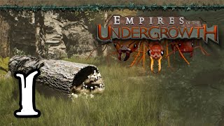 Empires of the Undergrowth  1  quotLong Live the Queens Generalquot [upl. by Nevile]