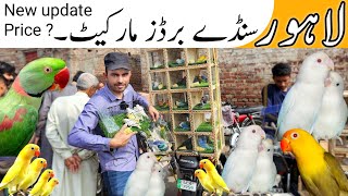 Lahore Sunday Birds Market New update price Ye Hoti Hai Lahori Deals lahorientertainmentchannel [upl. by Eberhart387]