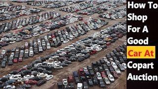 How To Shop For A Good Car At Copart Car Auction  Copart Houston Texas USA [upl. by Eniamaj602]