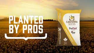 TruFlex® Canola Hybrids from CANTERRA SEEDS [upl. by Madeline]