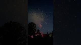 Independence Day USA usa independenceday fireworks shorts ytshorts [upl. by Hooker]