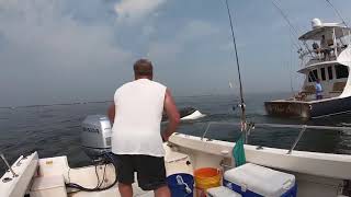 Whale capsizes fishing boat off Jersey Shore [upl. by Asp]