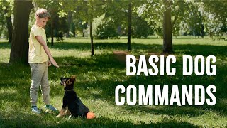 Top 5 Commands To Teach Your Puppy First [upl. by Ettevol829]