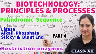 ENZYMES USED IN GENETIC ENGINEERINGPART4 PALINDROMIC SEQUENCE NEET 2025BIOTECHNOLOGY [upl. by Kellina]