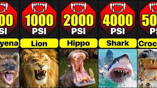 Most Powerful Bites In Animal Kingdom  Comparison [upl. by Dijam]