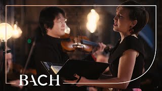 Bach  Jauchzet frohlocket from Christmas Oratorio BWV 248  Sato  Netherlands Bach Society [upl. by Sinnaoi187]