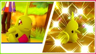 LIVE 4 Shiny Larvitar in Pokemon Brilliant Diamond  Pokeradar [upl. by Leyes]