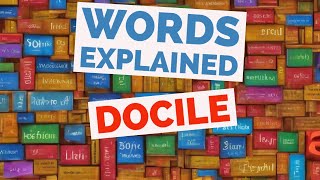 Docile  Words Explained [upl. by Yard718]