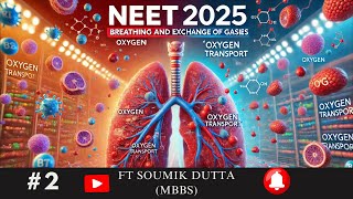 Breathing And Exchange of Gases  NEET 2025  Exchange of Gases  Class 11 Biology  NCERT [upl. by Aehtrod]