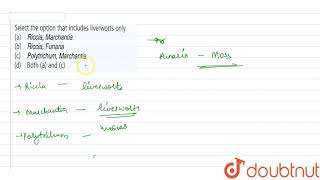 Select the option that includes liverworts only [upl. by Kevin]