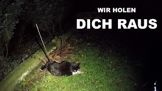 WIR HOLEN DICH RAUS  Tiernotruf 138 [upl. by Daveen]