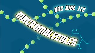 Introduction to Macromolecules updated  Biol 112 at UBC [upl. by Henson510]