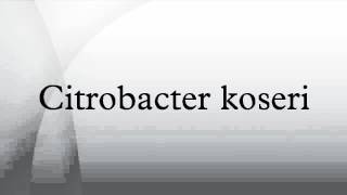 Citrobacter koseri [upl. by Collette]