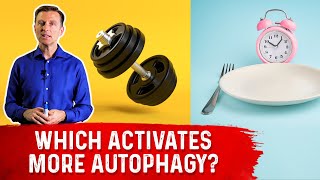 Autophagy Exercise vs Fasting [upl. by Trinity]