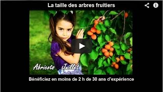 Verger La taille des arbres fruitiers bénéficiez en moins de 2 h de 30 ans dexpérience [upl. by Tnilc831]