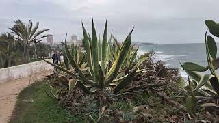 Portuguese coastal walk 3rd November 2024  Alvor to Carvoeiro  28km  4 [upl. by Joellen]