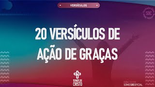 20 VERSÍCULOS BÍBLICOS DE AÇÃO DE GRAÇAS E GRATIDÃO  BÍBLIA ONLINE [upl. by Elegna727]