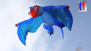 Pterosaur  Flugsaurier Pterosauria Kite Festival  Drachenfest Welzheim Germany 15032015 [upl. by May294]