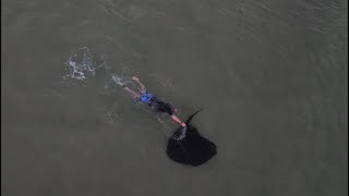 SWIMMER ESCAPES STINGRAY BARB [upl. by Hercule]