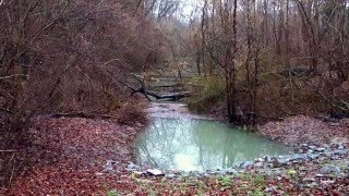 Renaturierungsprojekt „Schlauchgraben“ im Mannheimer Waldpark  12012016  Pegel 408 cm [upl. by Alford]