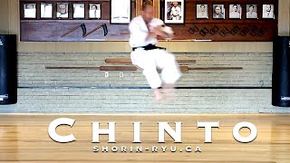 Chinto Kata  MatsubayashiRyu [upl. by Keir]