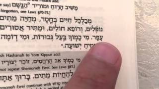 Hebrew Reading The Amidah Part 2 [upl. by Nodyarg]