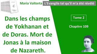 Maria Valtorta  Tome 2 chapitre 109  LEvangile tel quil ma été révélé [upl. by Rbma]