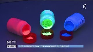 Des pigments évolutifs imaginés en Gironde [upl. by Eizdnil]