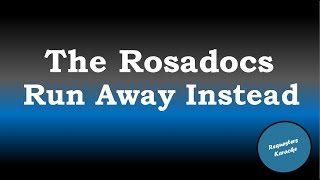 The Rosadocs  Run Away Instead Karaoke Version [upl. by Eyma101]