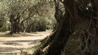 MARSEILLAN ENVIRONNEMENT [upl. by Atileda]