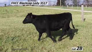 Lot 2B FHCC Blackcap Lady 3517 [upl. by Lamond]